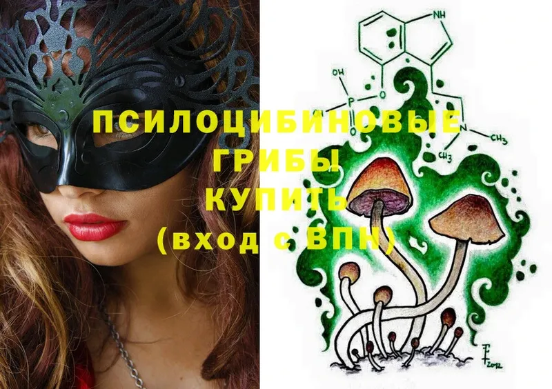 Псилоцибиновые грибы Magic Shrooms  shop официальный сайт  Ветлуга  купить наркотики цена  блэк спрут ССЫЛКА 